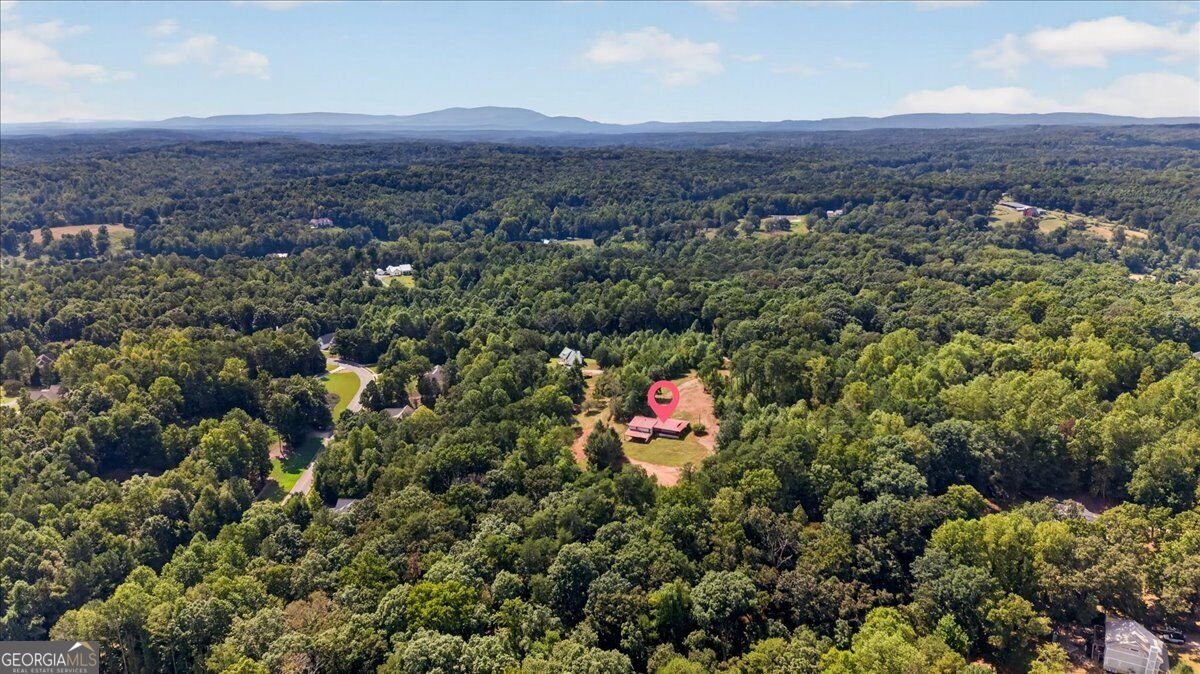 205 Upper Bethany Trail Ball Ground - Photo 40