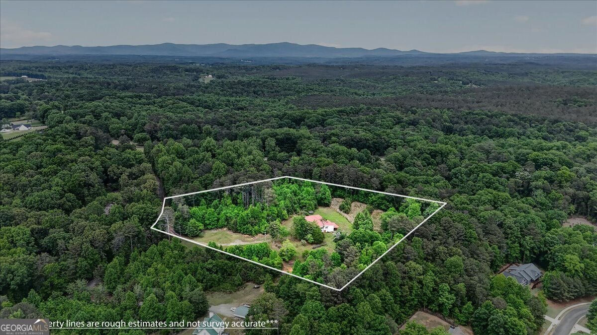 205 Upper Bethany Trail Ball Ground - Photo 48