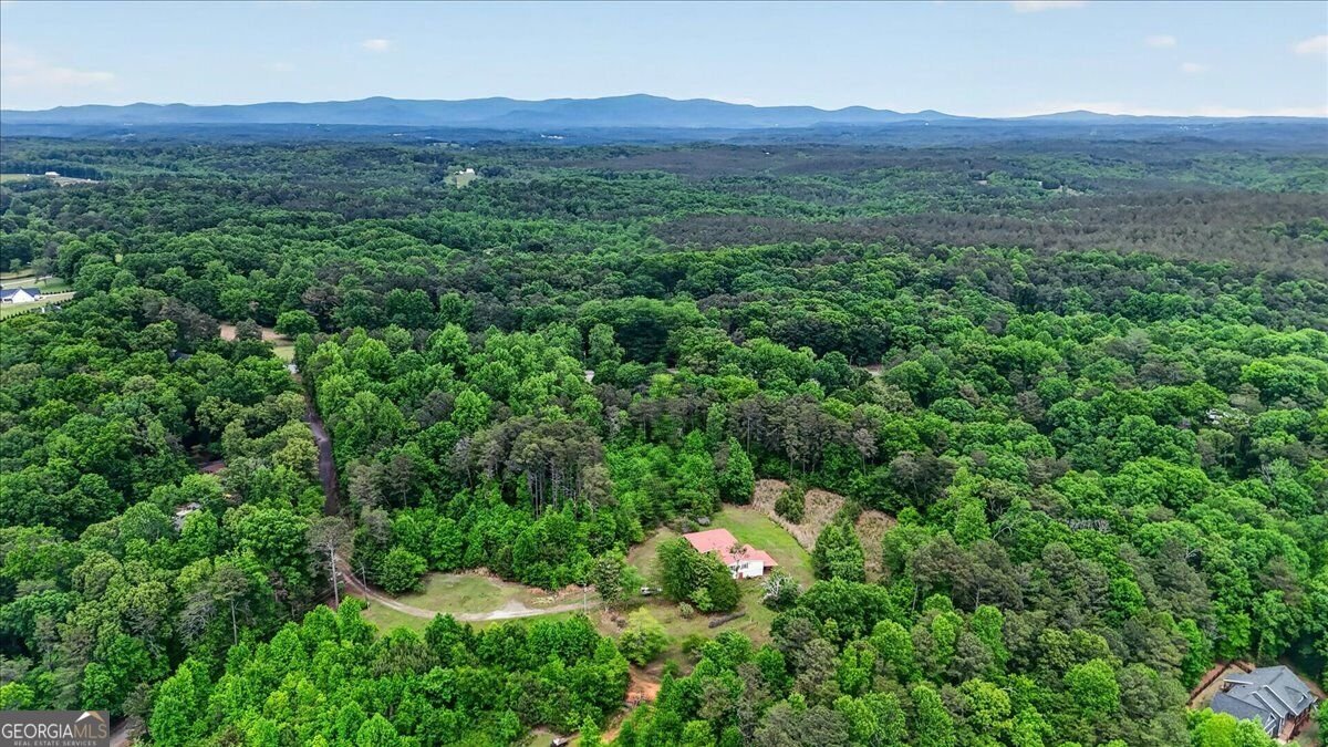 205 Upper Bethany Trail Ball Ground - Photo 56