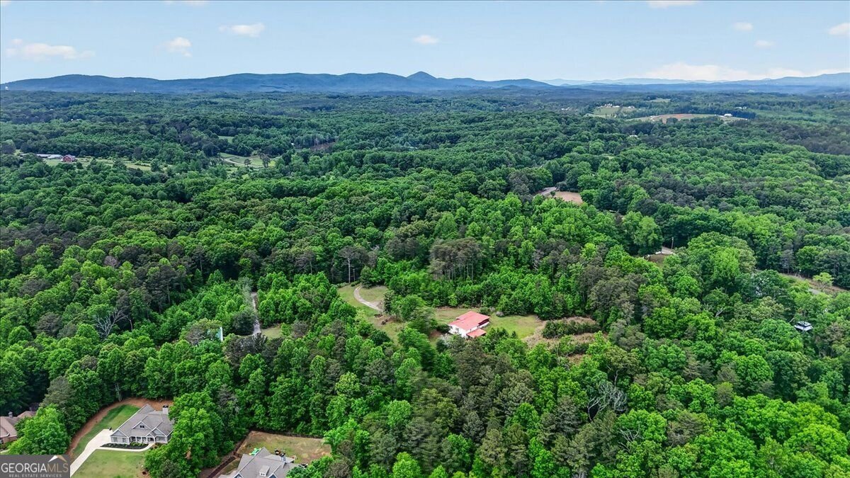 205 Upper Bethany Trail Ball Ground - Photo 57