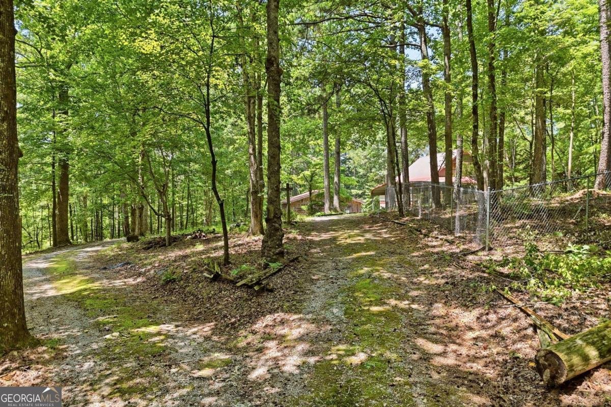 1525 Sperin Road Ball Ground - Photo 50