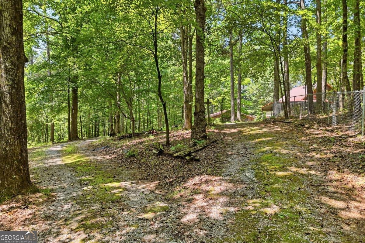 1525 Sperin Road Ball Ground - Photo 51