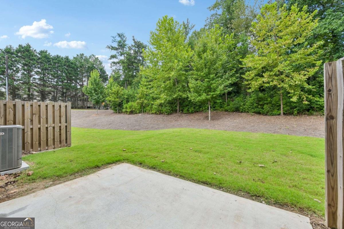 6032 Harbor Landing Drive Buford - Photo 19
