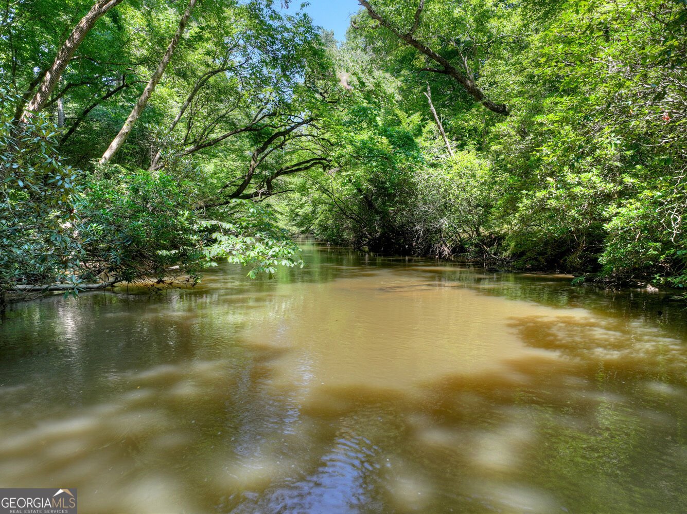 357 Goldmine Trail Ellijay - Photo 16