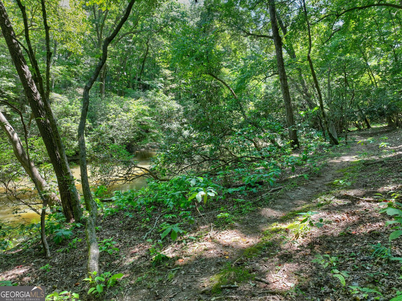 357 Goldmine Trail Ellijay - Photo 61