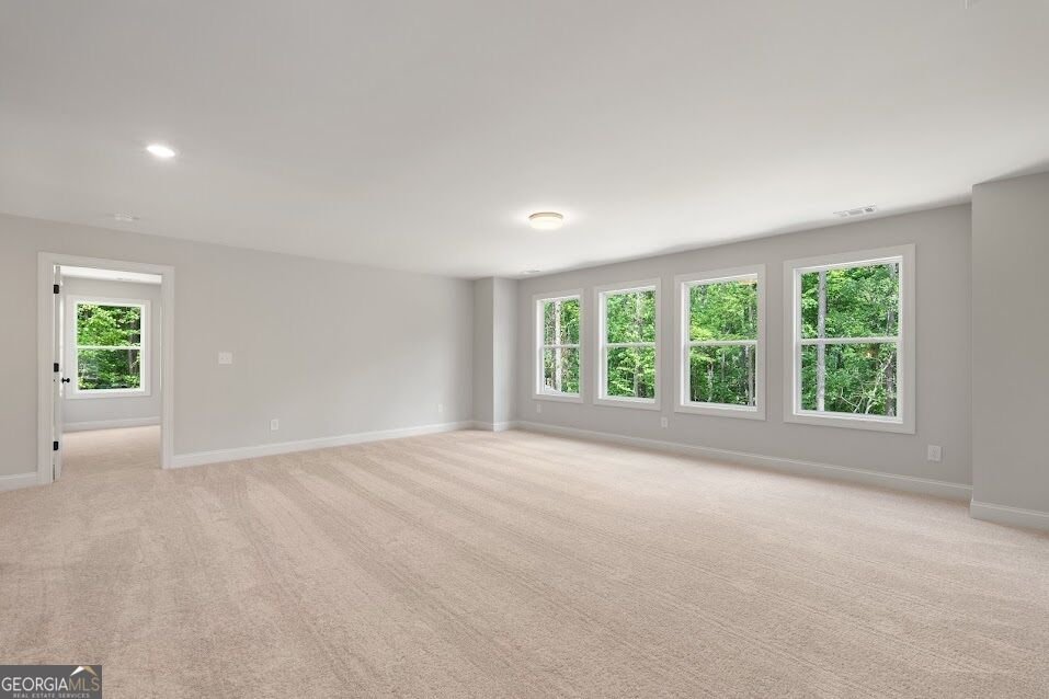 9126 Carroll Road Winston - Photo 37