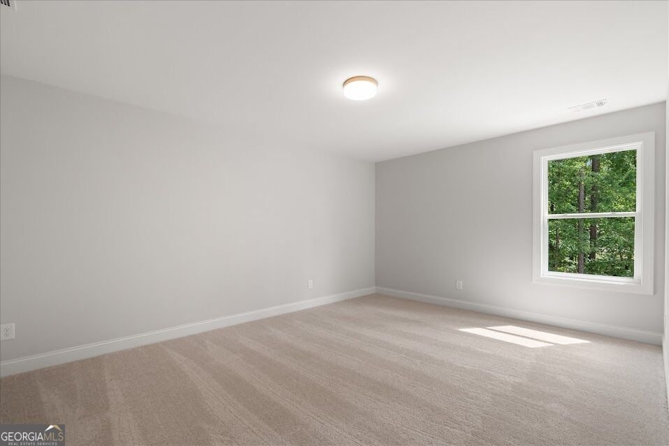 9126 Carroll Road Winston - Photo 43