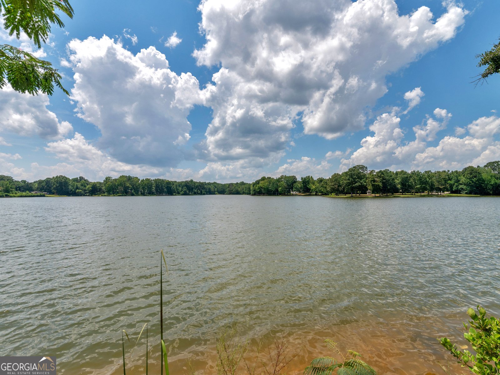 245 Lakeview Drive Locust Grove - Photo 56