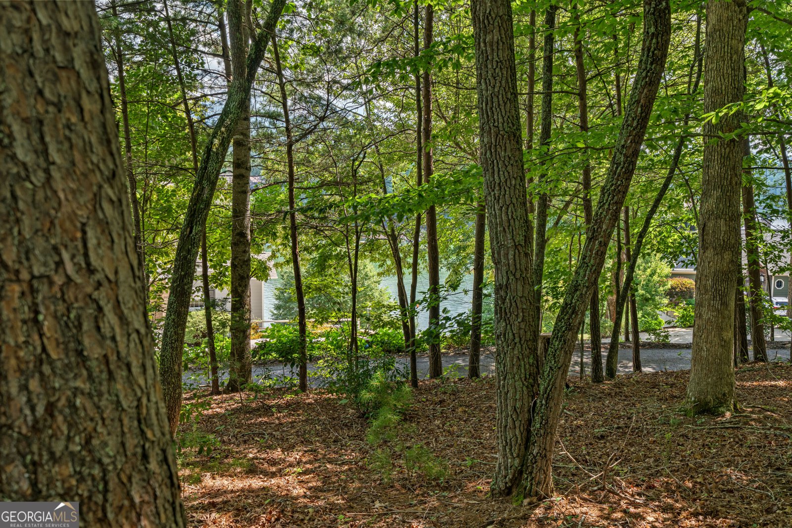 169 Windjammer SPUR Hiawassee - Photo 43