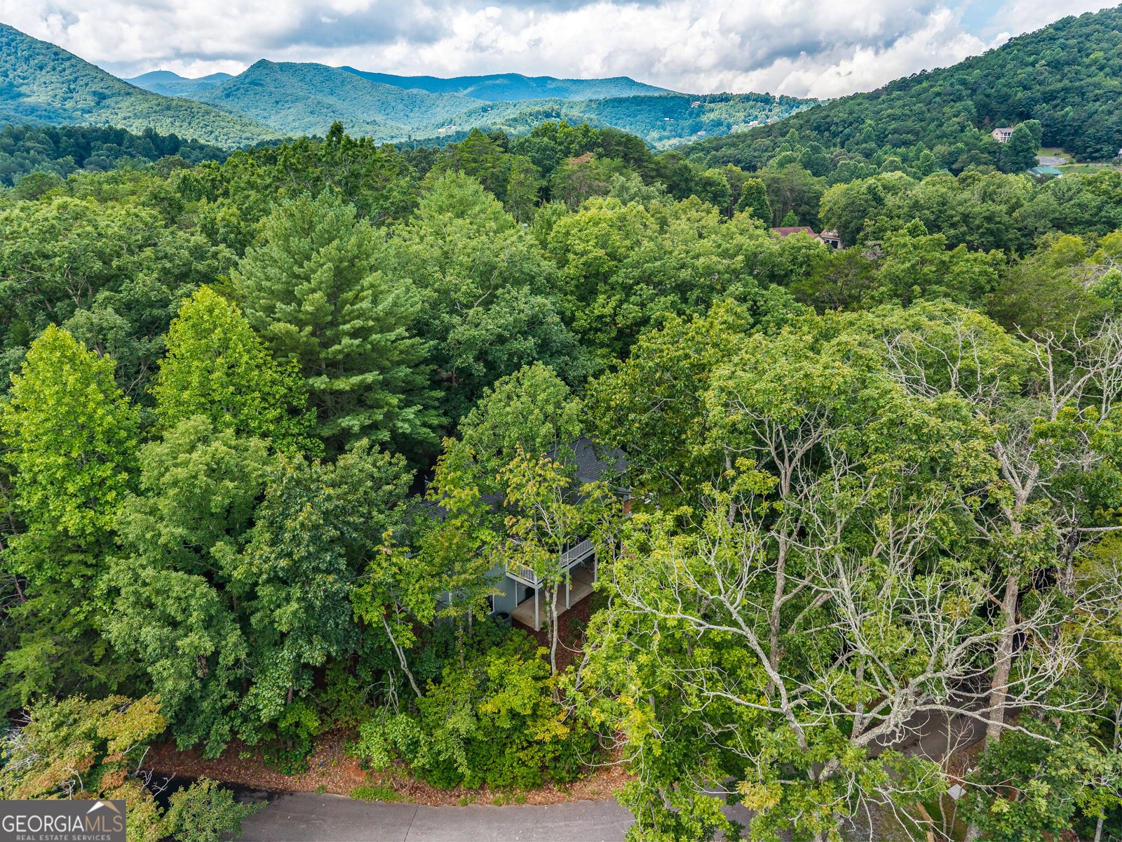 169 Windjammer SPUR Hiawassee - Photo 47