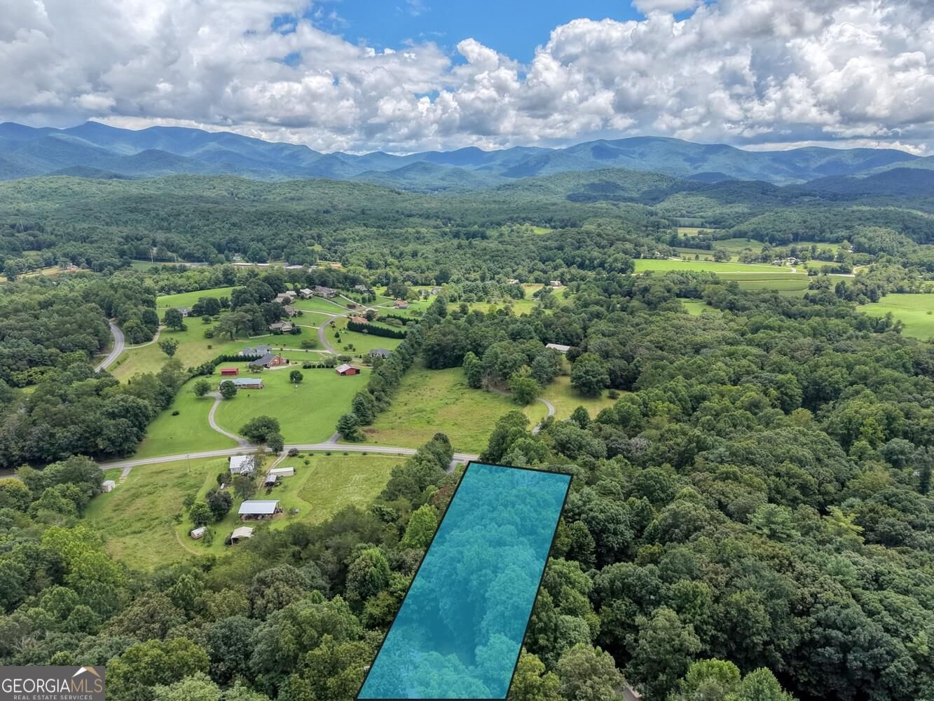 1201 Owltown Rd Blairsville - Photo 49