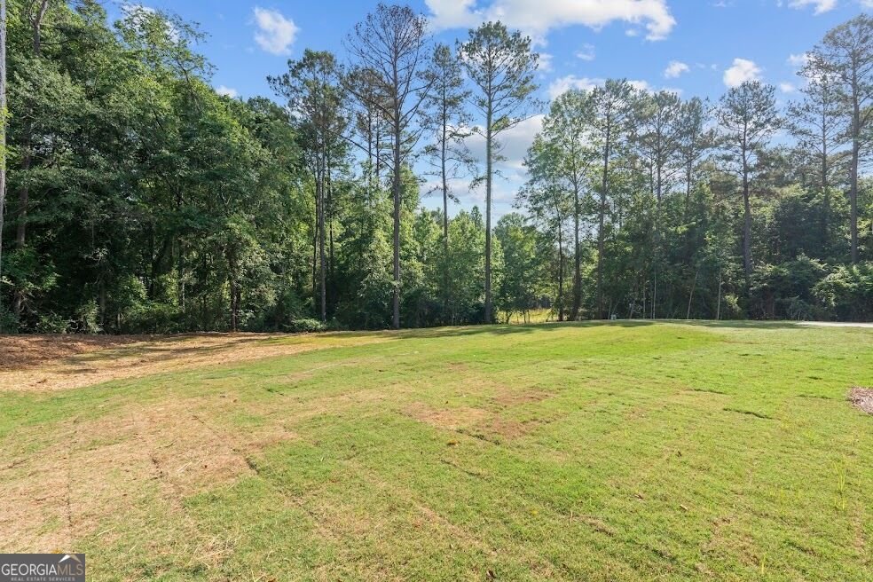 135 Martin Cemetery Road Carrollton - Photo 56