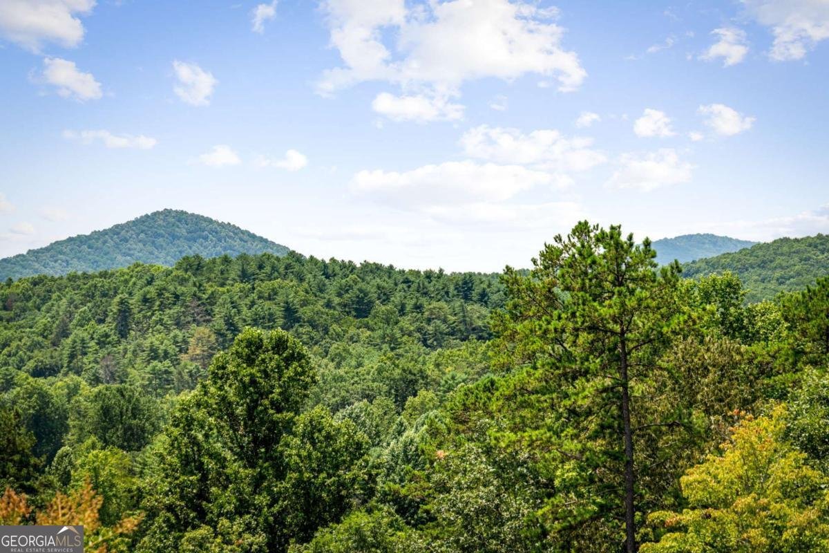90 Fox Run Blue Ridge - Photo 19