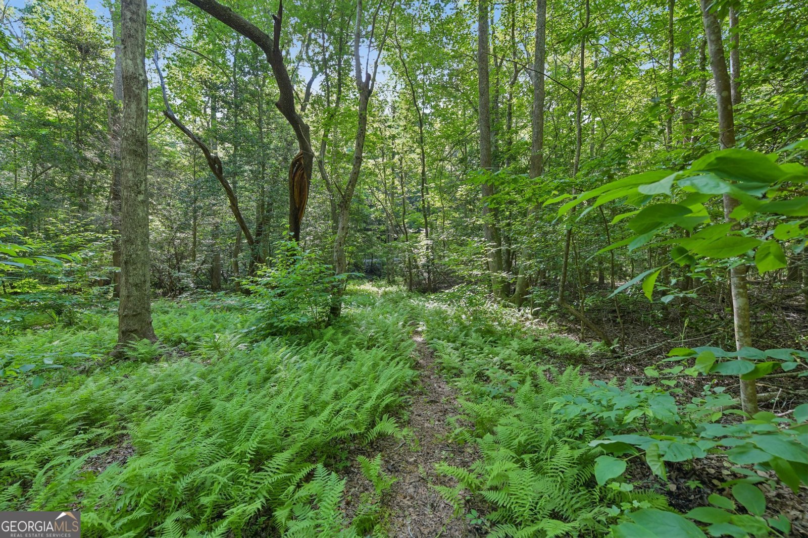 57 Ashleywood Drive Dahlonega - Photo 26