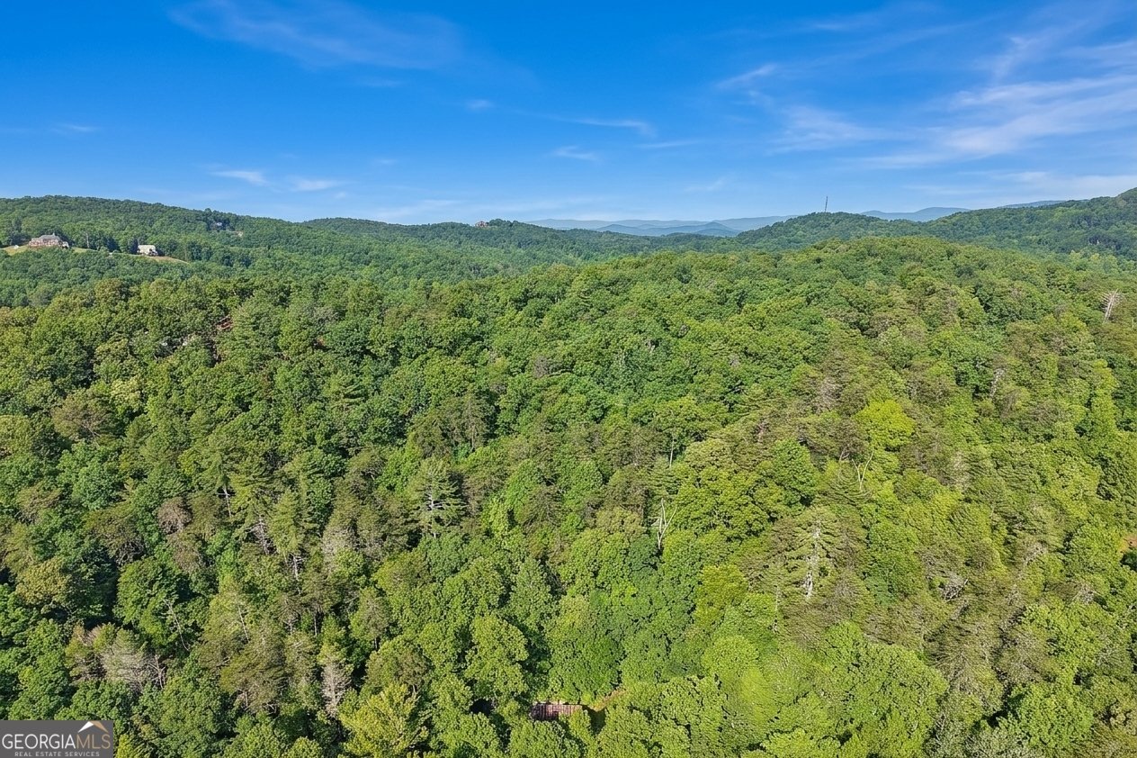 57 Ashleywood Drive Dahlonega - Photo 34