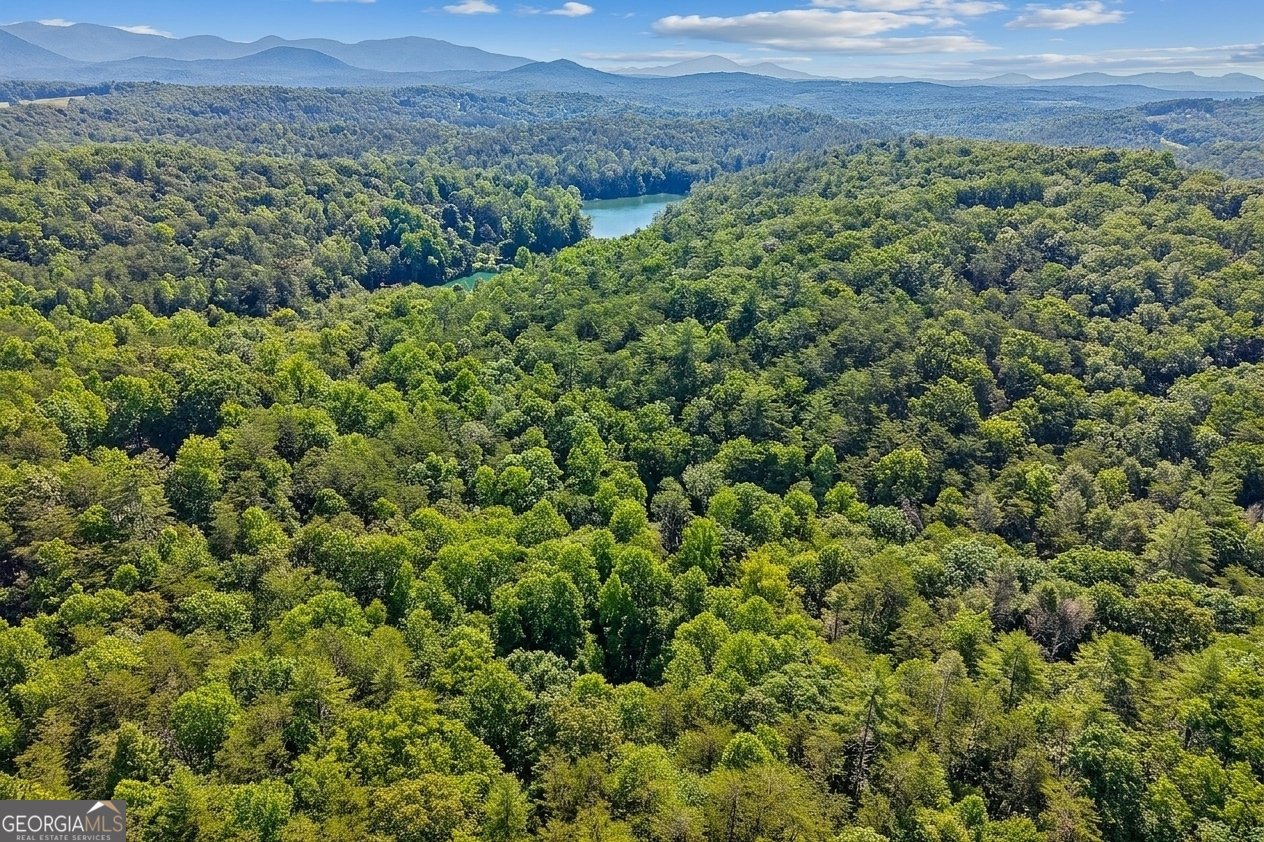 57 Ashleywood Drive Dahlonega - Photo 35