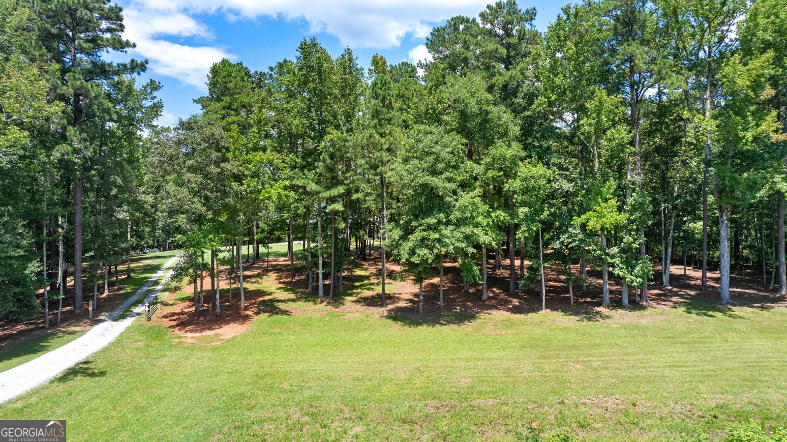 1191 Tommy Lee Cook Road Palmetto - Photo 53