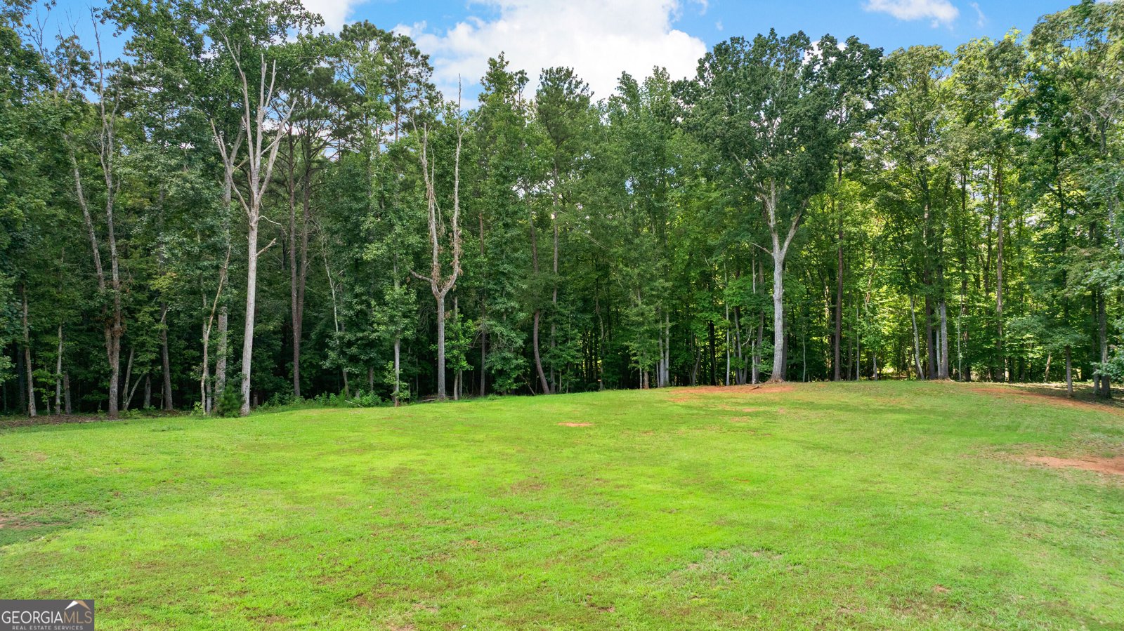 1191 Tommy Lee Cook Road Palmetto - Photo 63