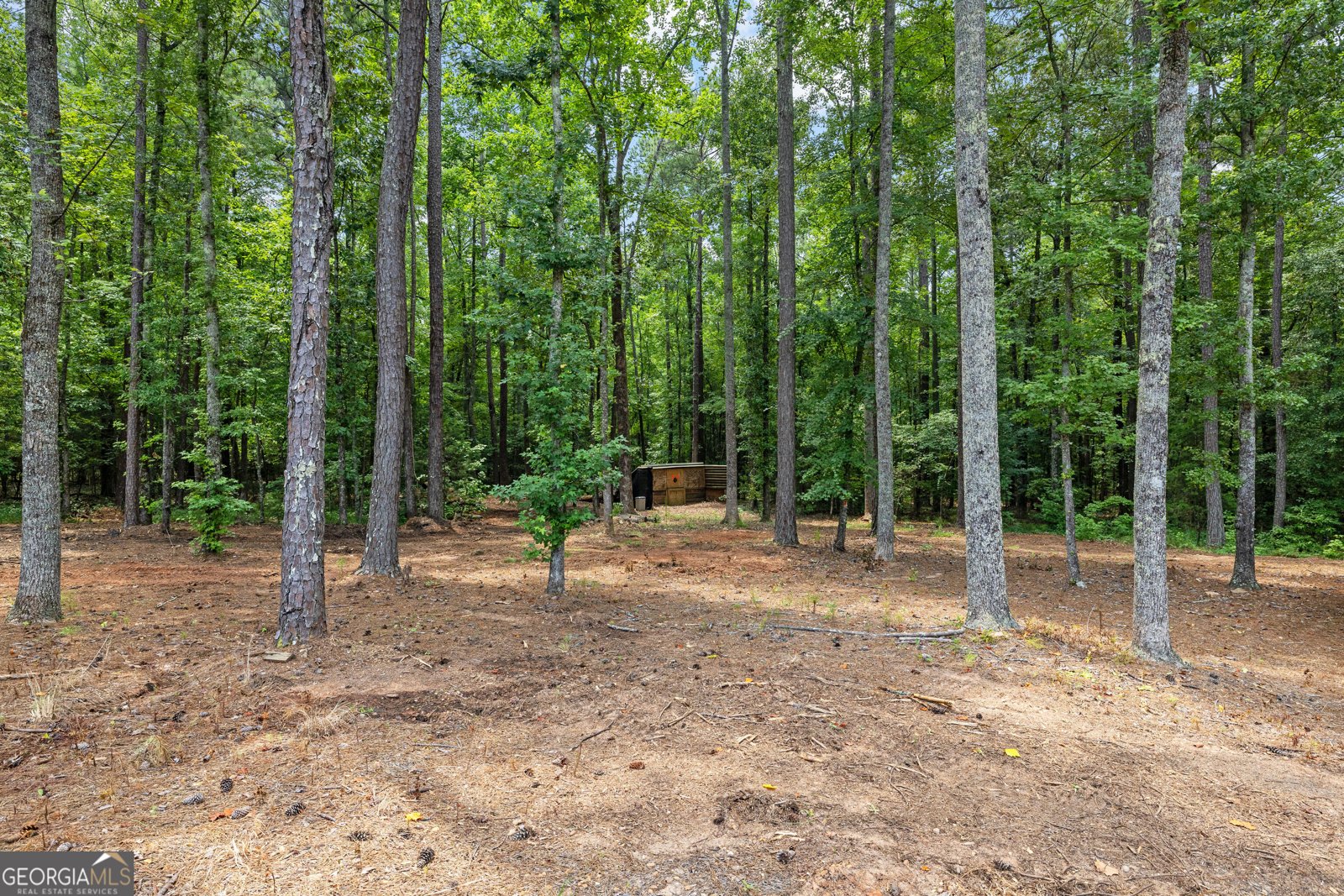 359 Trammell Road Moreland - Photo 106