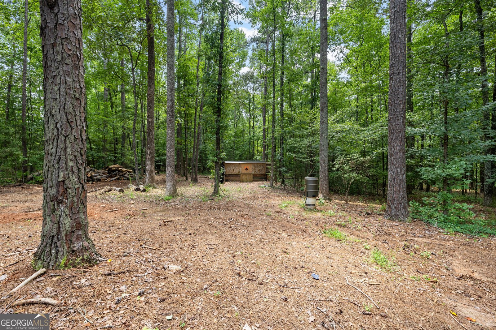 359 Trammell Road Moreland - Photo 107