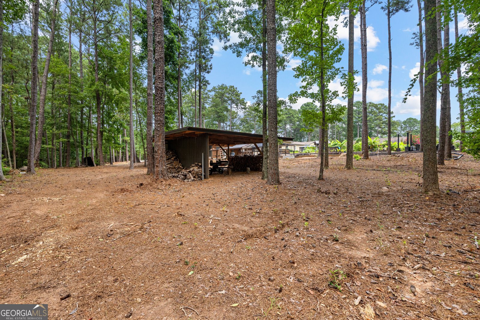 359 Trammell Road Moreland - Photo 108