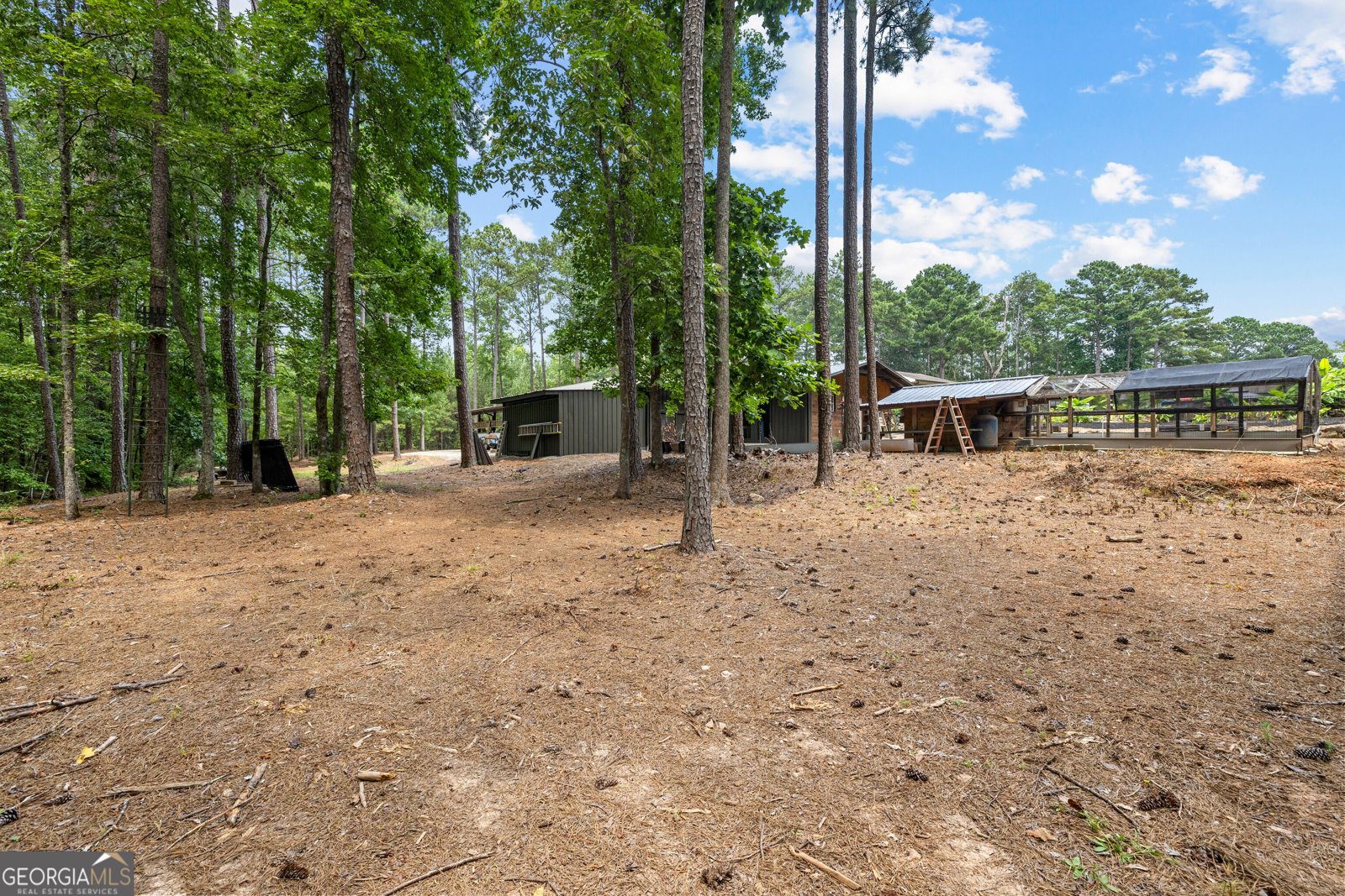 359 Trammell Road Moreland - Photo 109