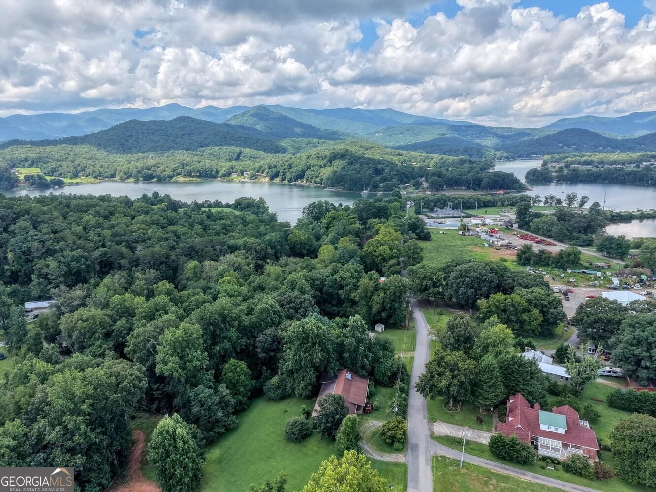 723 Bugscuffle Road Hiawassee - Photo 34