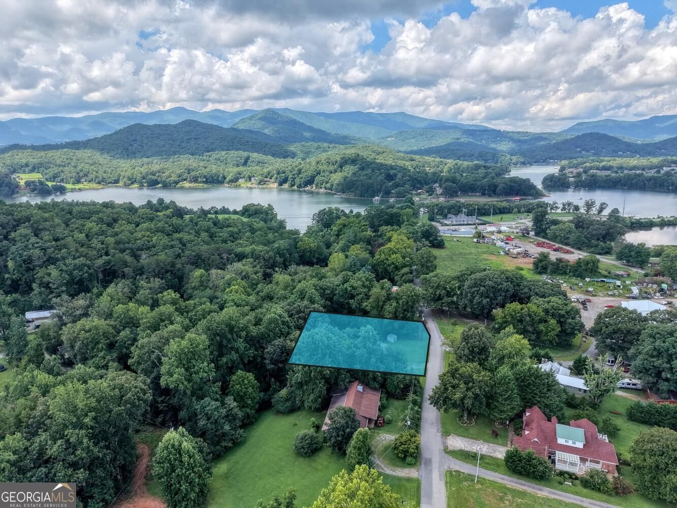 723 Bugscuffle Road Hiawassee - Photo 35