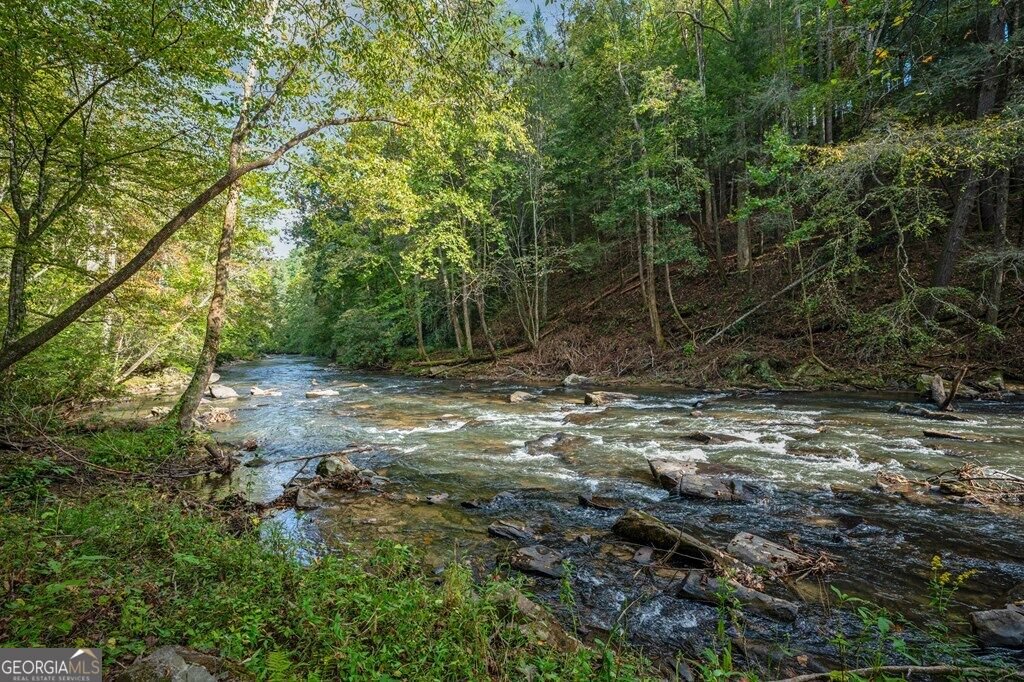 325 Whitewater Falls Trail Ellijay - Photo 59