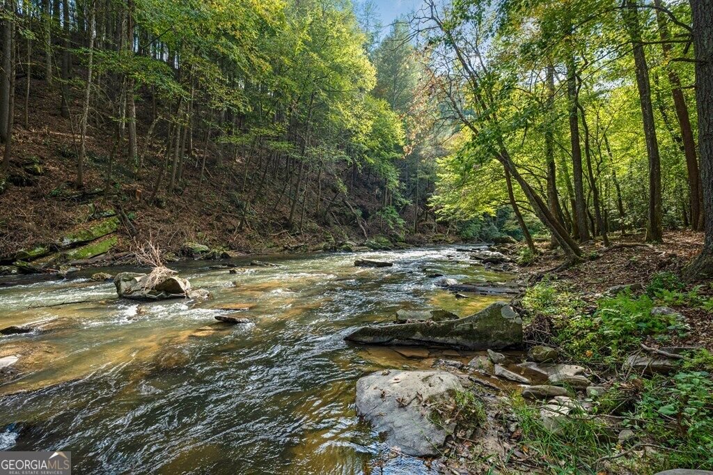 325 Whitewater Falls Trail Ellijay - Photo 7