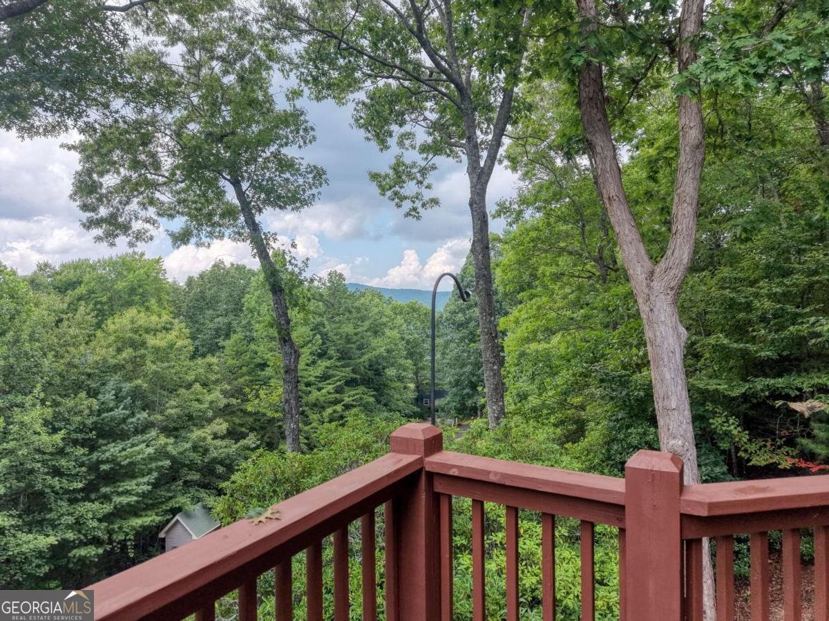 276 Moon Shadow Trail Blairsville - Photo 44