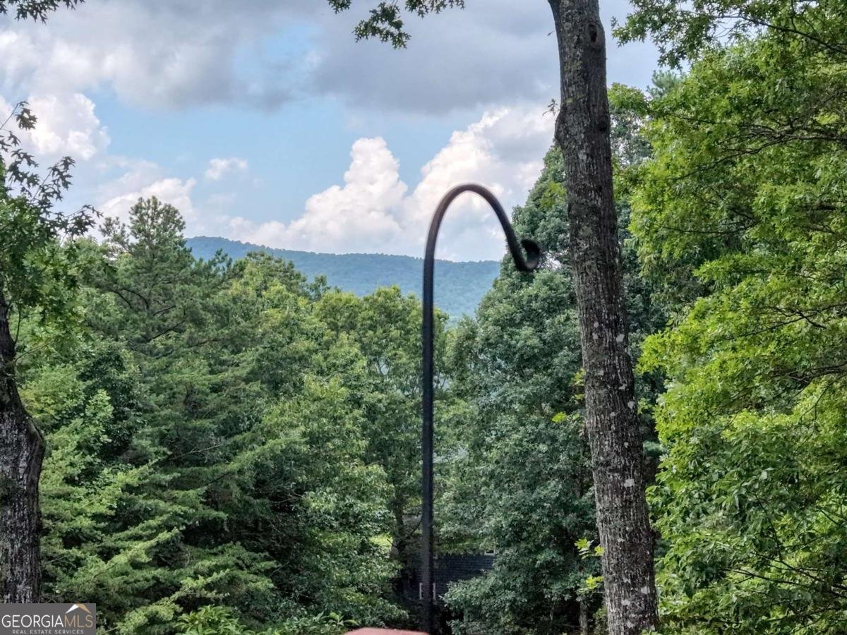 276 Moon Shadow Trail Blairsville - Photo 45