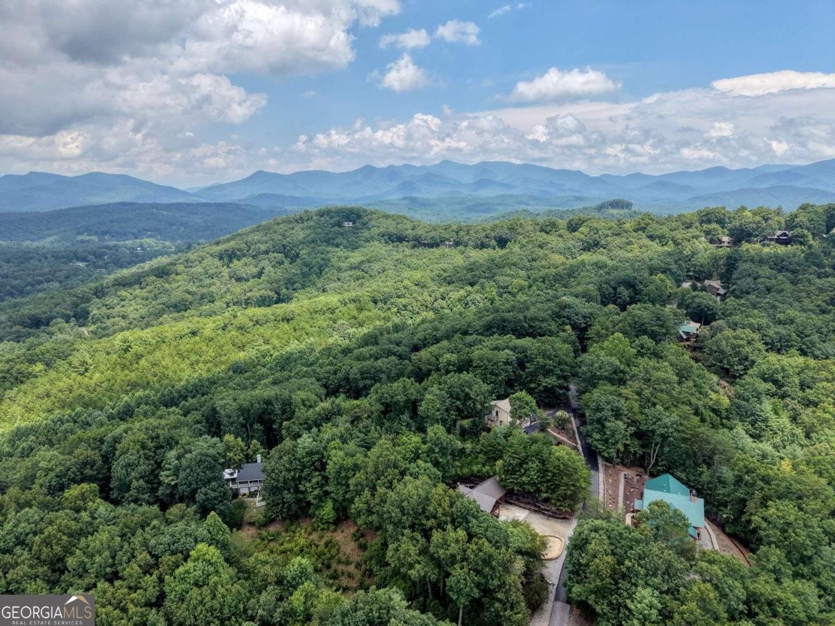 276 Moon Shadow Trail Blairsville - Photo 55
