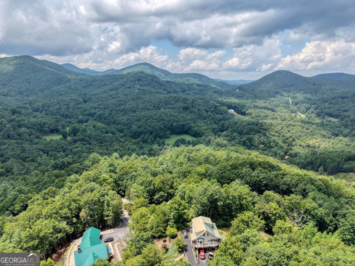 276 Moon Shadow Trail Blairsville - Photo 56