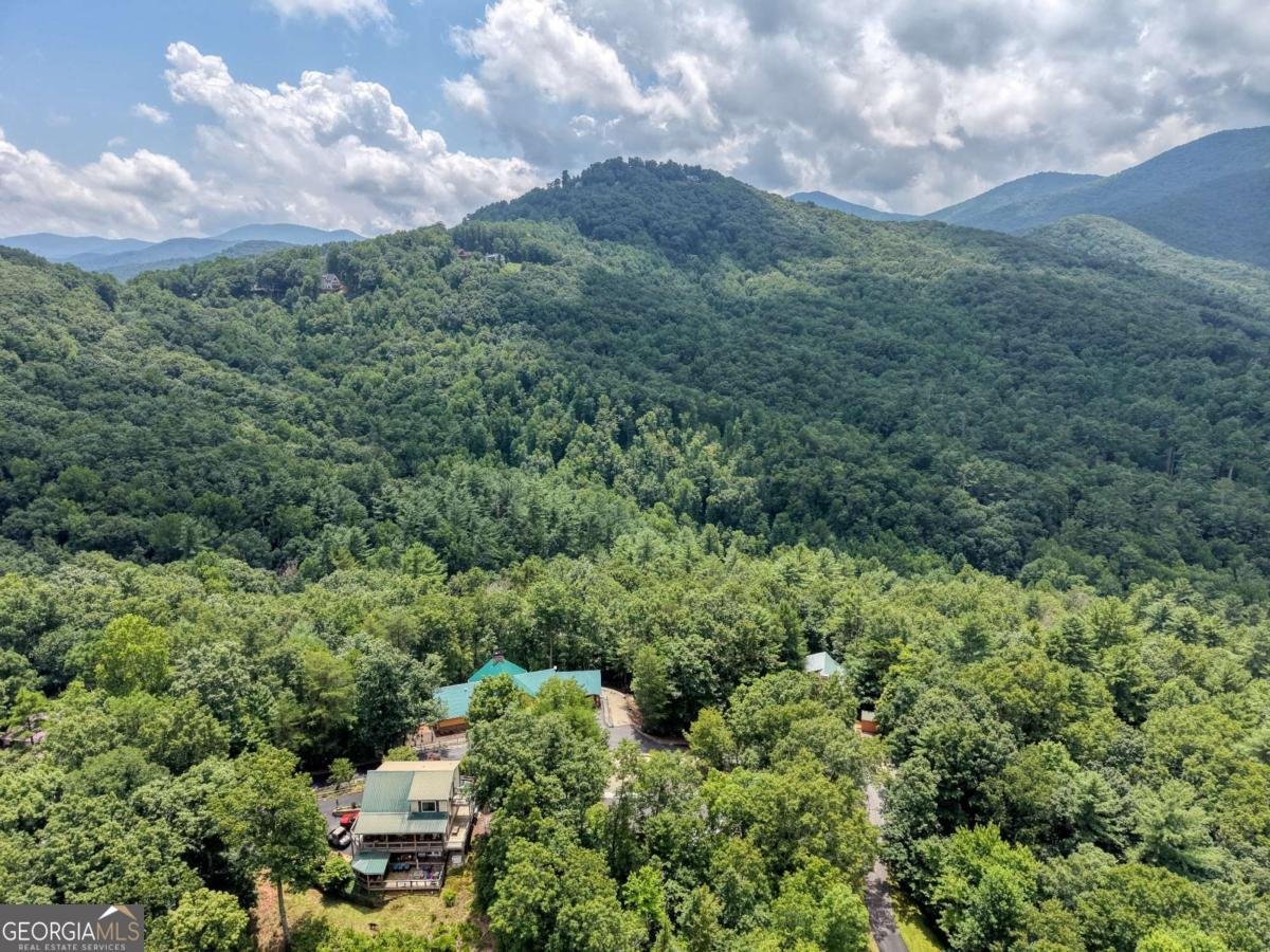 276 Moon Shadow Trail Blairsville - Photo 57