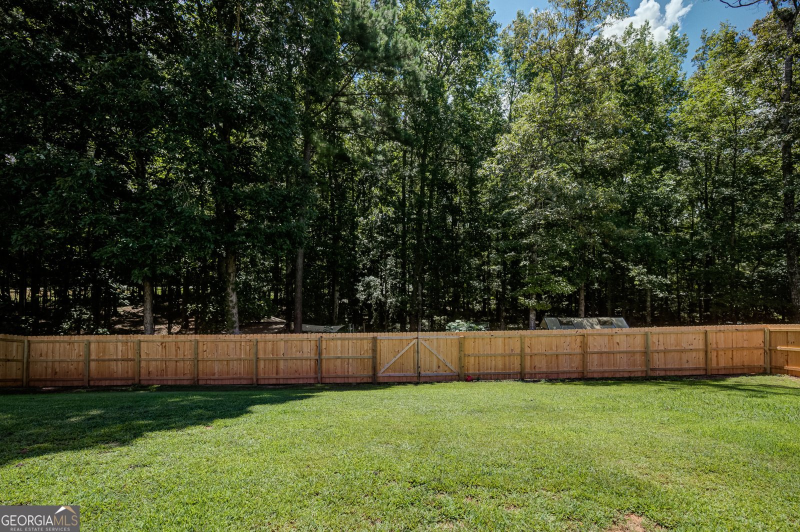 20 Walton Woods Court Newnan - Photo 37