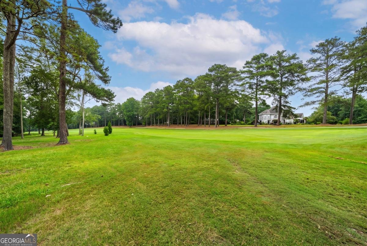 7267 Tara Drive Villa Rica - Photo 53