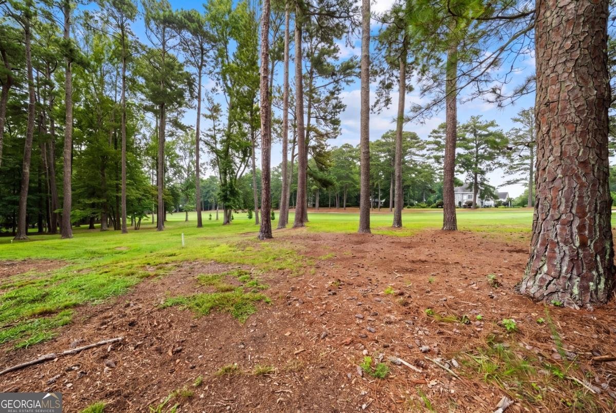 7267 Tara Drive Villa Rica - Photo 54