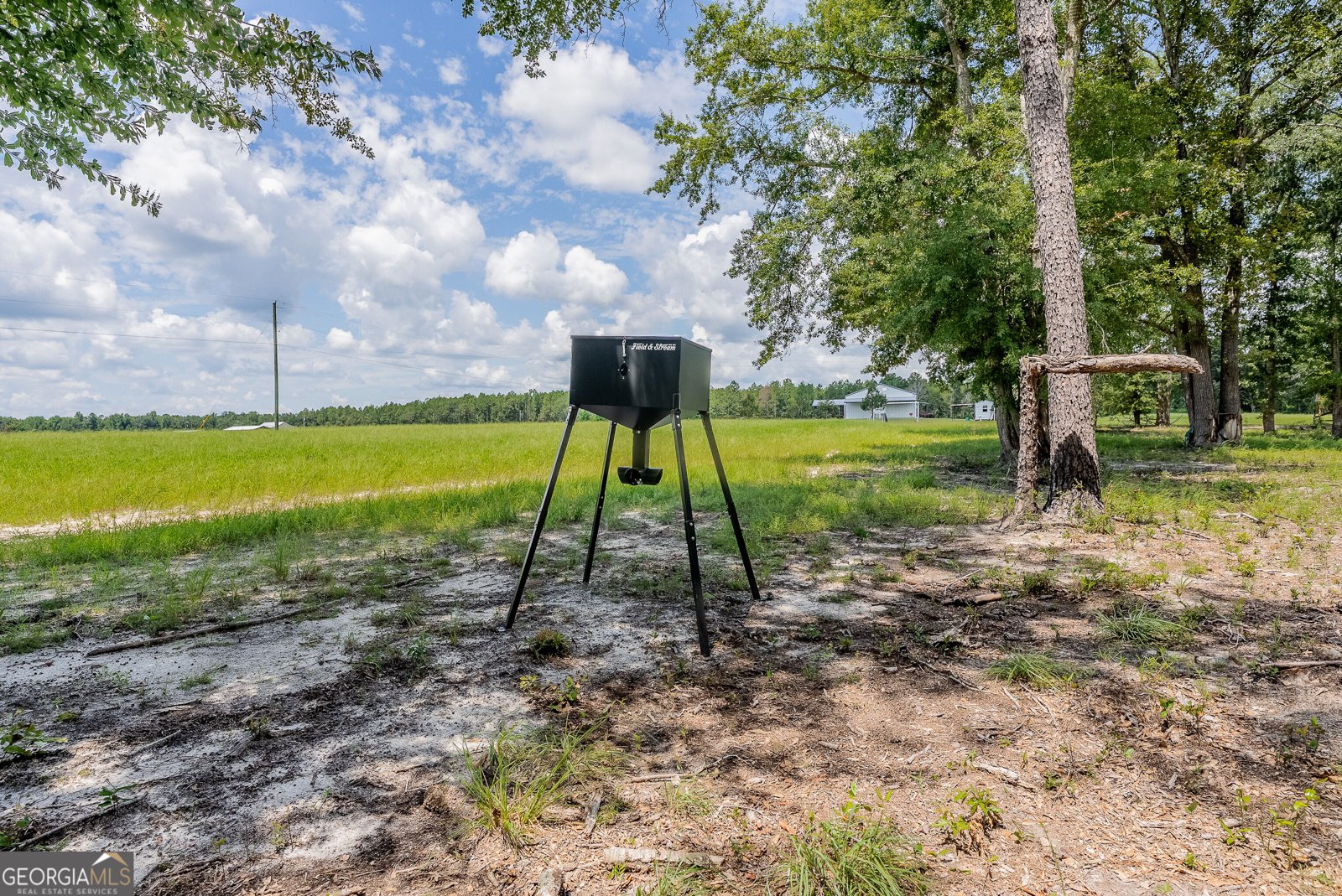 318 Cass Burnham Road Eastman - Photo 61