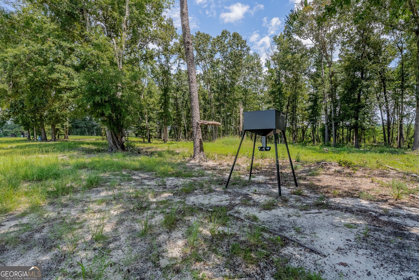 318 Cass Burnham Road Eastman - Photo 62