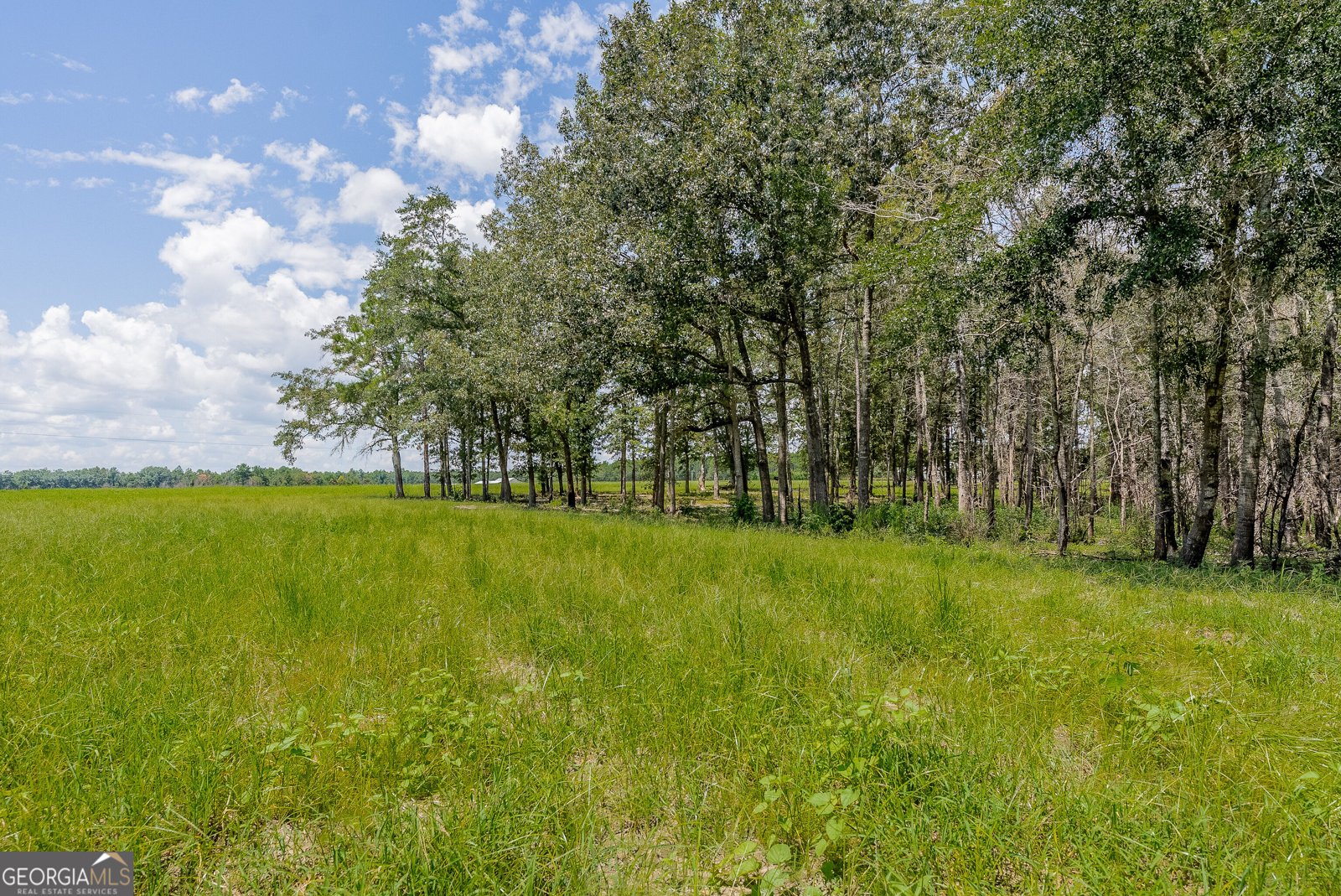 318 Cass Burnham Road Eastman - Photo 63