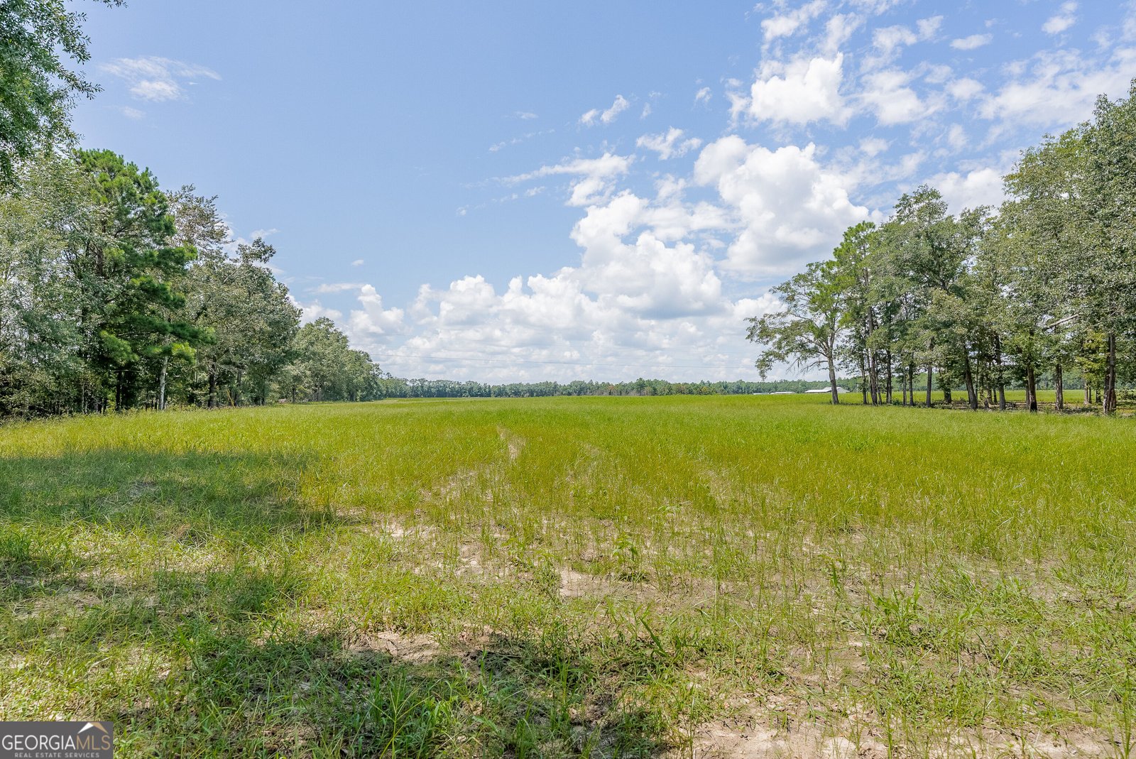 318 Cass Burnham Road Eastman - Photo 64