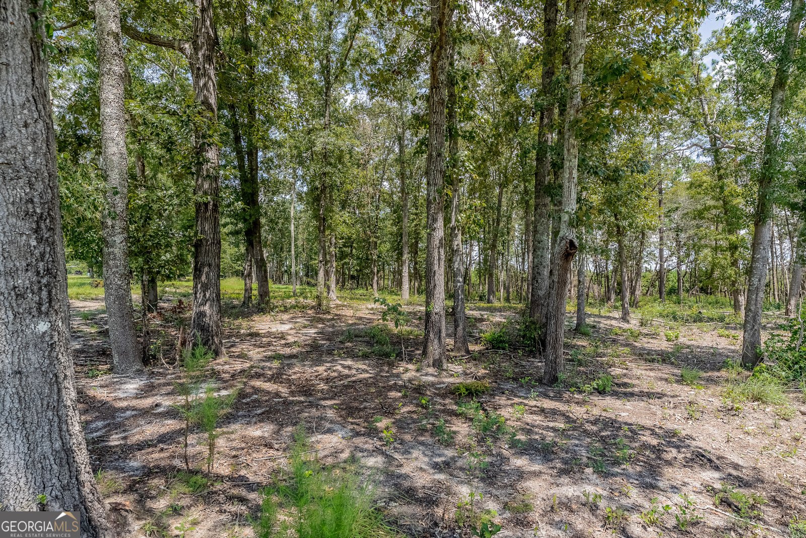 318 Cass Burnham Road Eastman - Photo 65