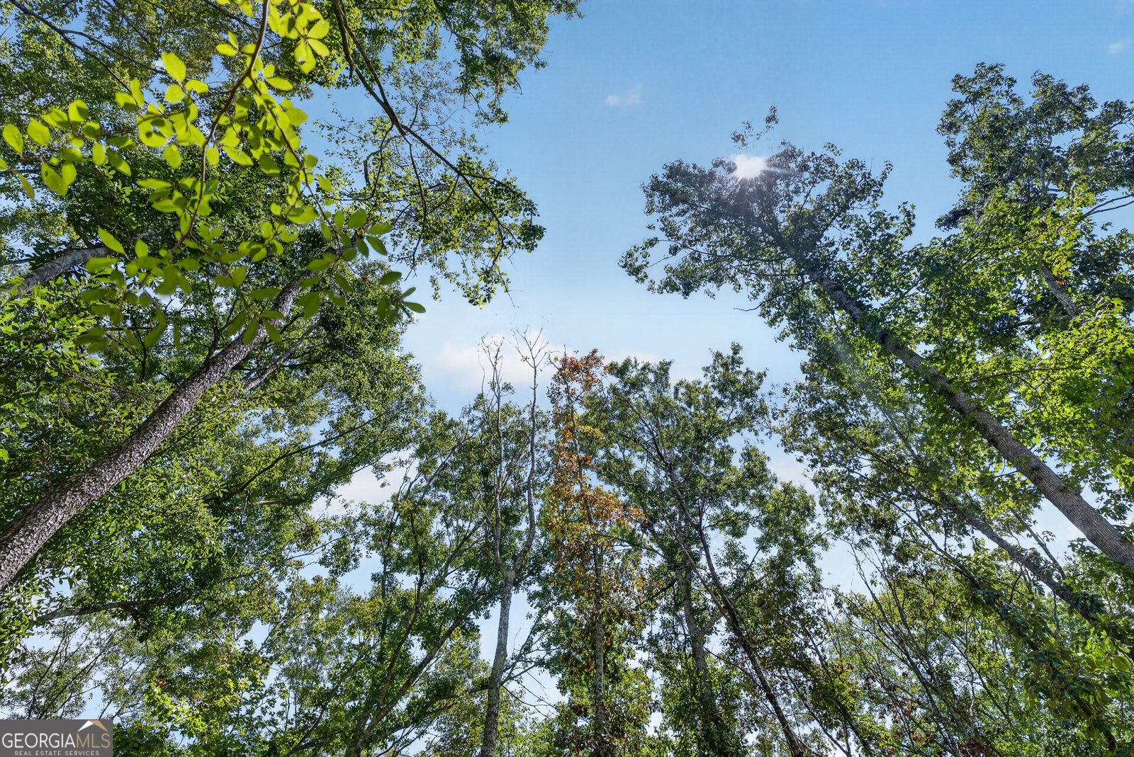 318 Cass Burnham Road Eastman - Photo 66