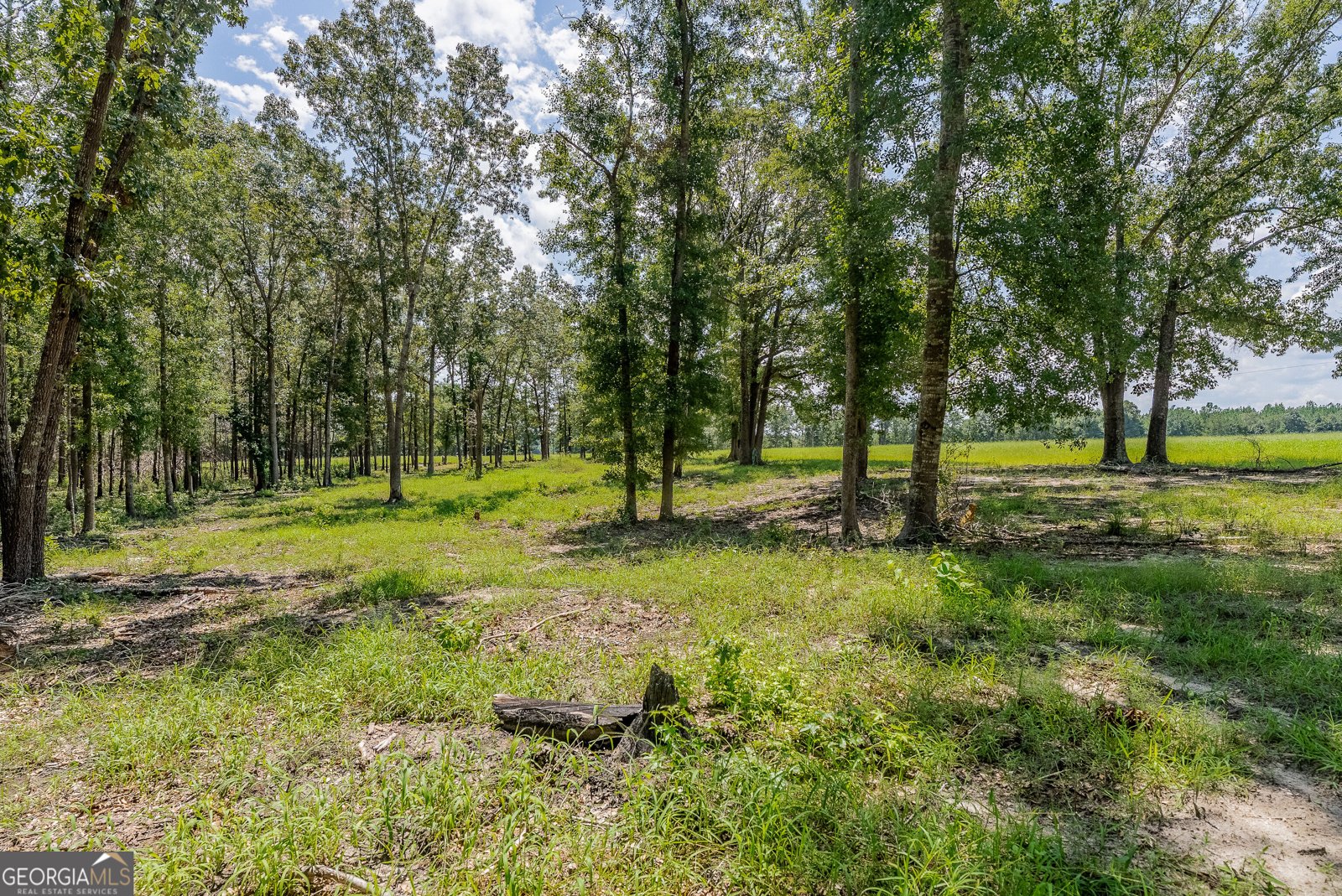 318 Cass Burnham Road Eastman - Photo 68