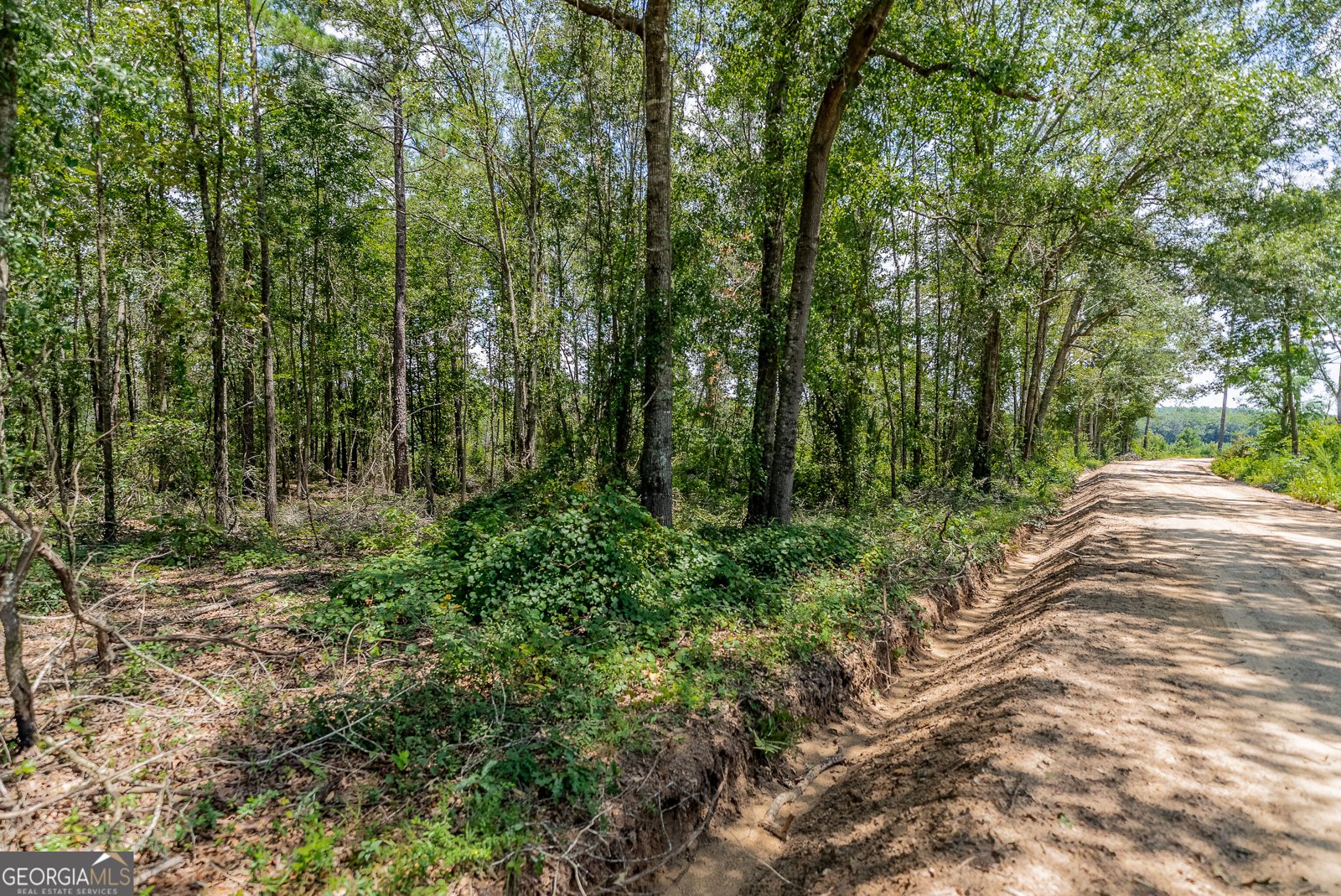 318 Cass Burnham Road Eastman - Photo 69
