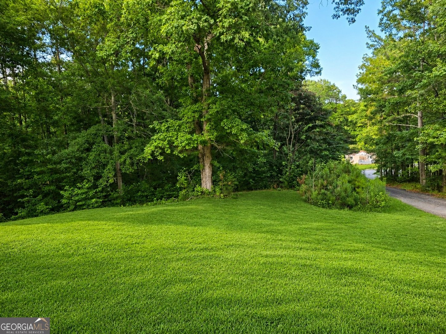 102 Westwood Drive Griffin - Photo 42