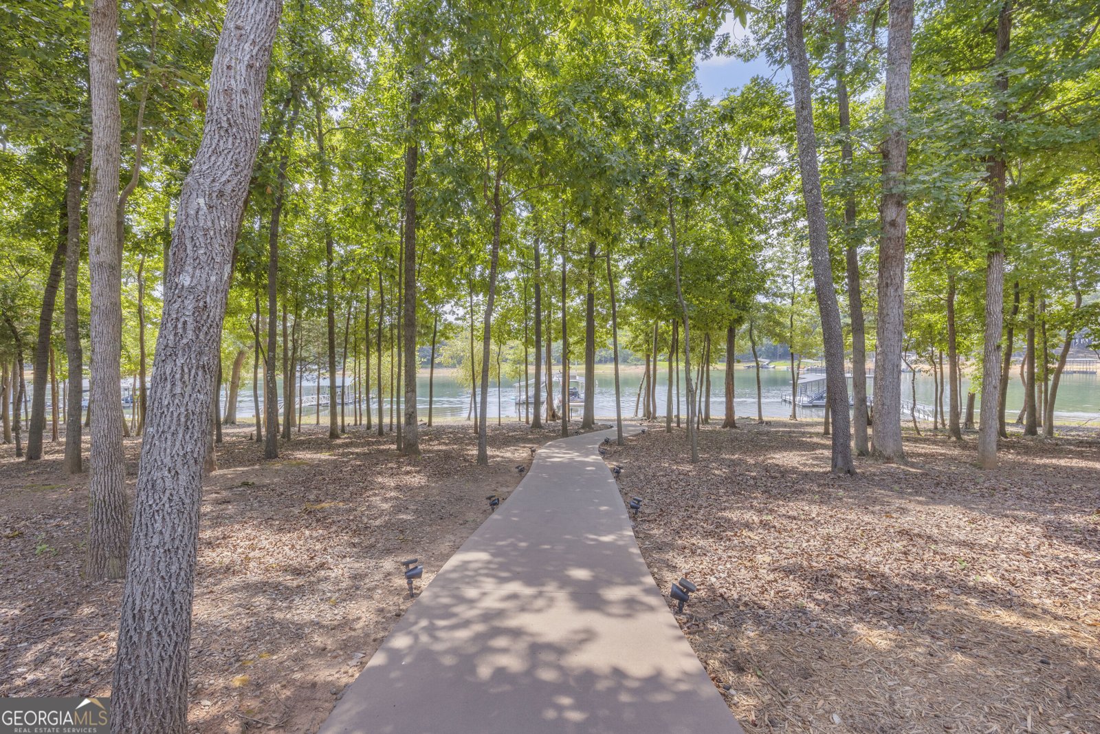 215 Carlota Way Hartwell - Photo 60