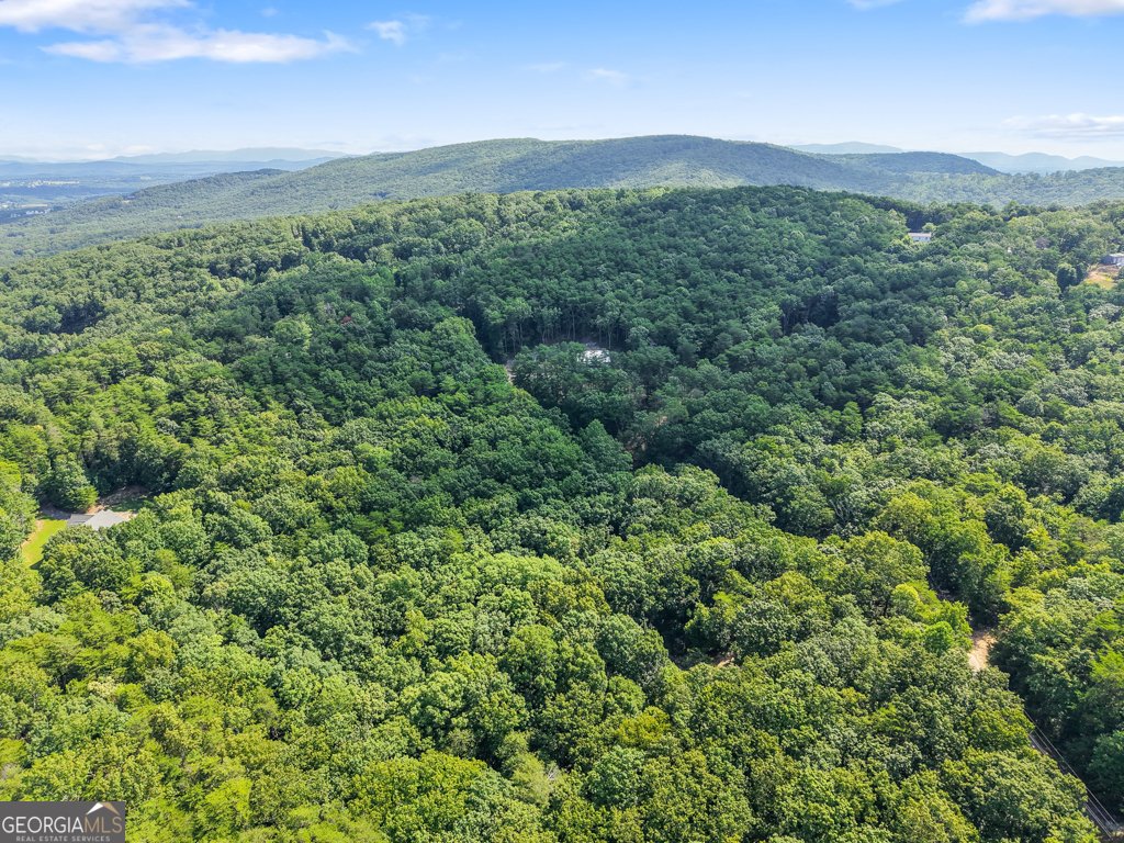156 Mulberry Circle Jasper - Photo 27