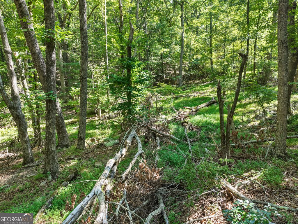 156 Mulberry Circle Jasper - Photo 28